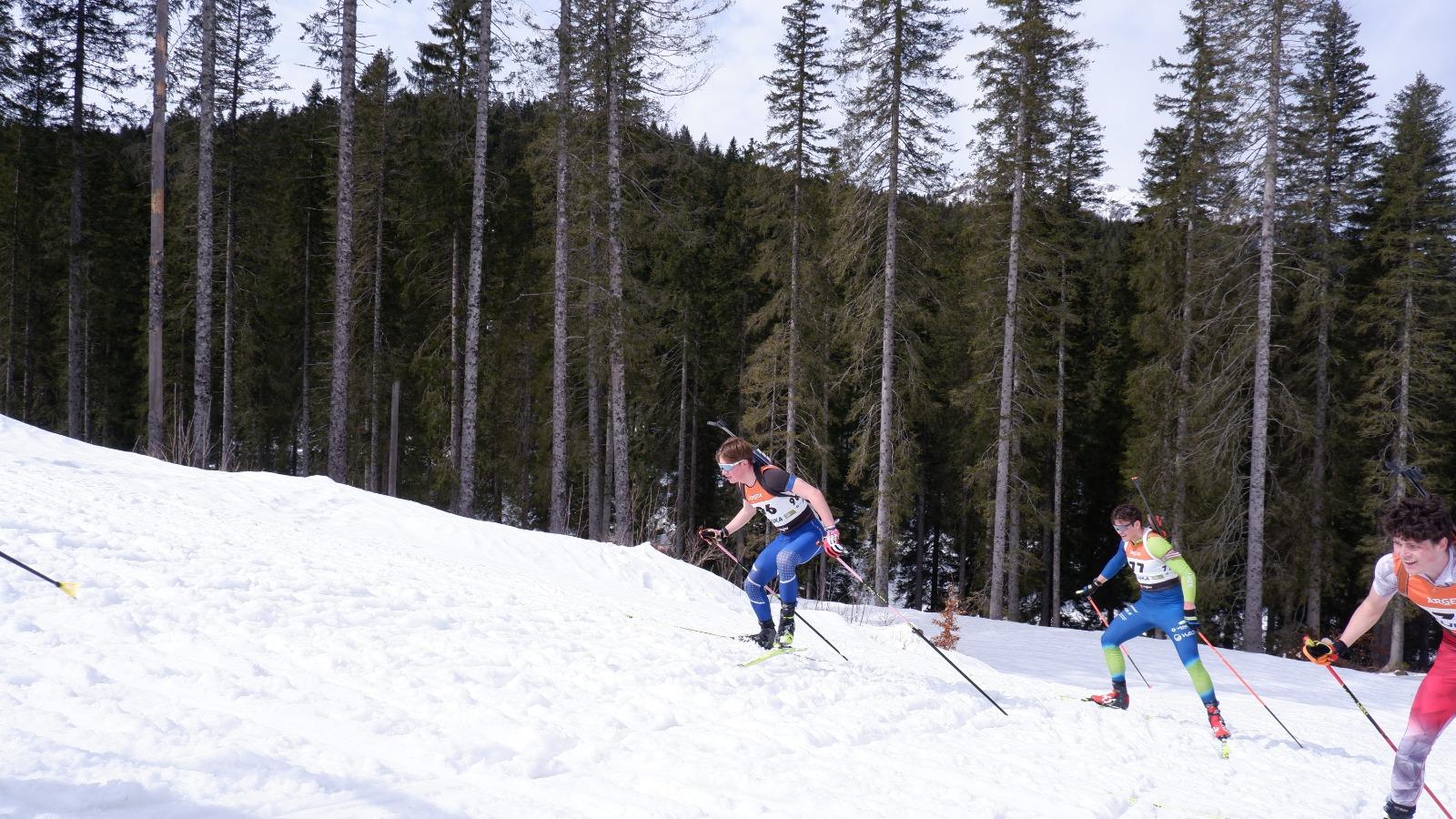 BildBiathlon